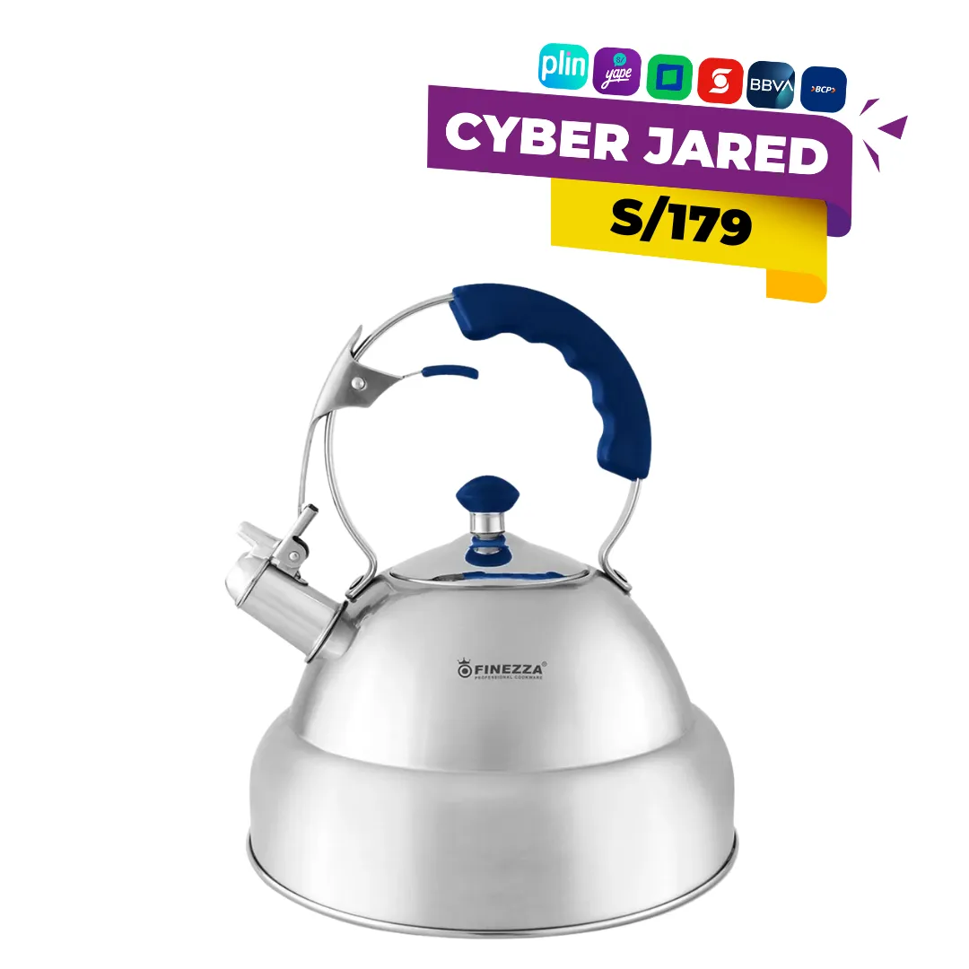FF-T0030-IN-AZUL.webp Tetera de Cocina de 5 Litros FINEZZA Acero Inoxidable Azul FF-T0030-IN - Imagen 1